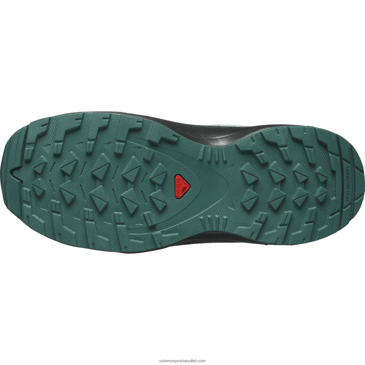 Salomon hvězdář/černá/modrá záře juniorské - dětské boty - xa pro v8 28B61358