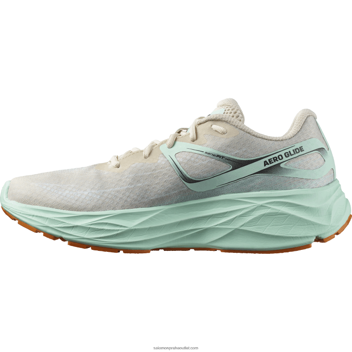 Salomon bělený písek/yucca/pomerančový pepř pánská běžecká obuv - aero klouzačka 28B61066