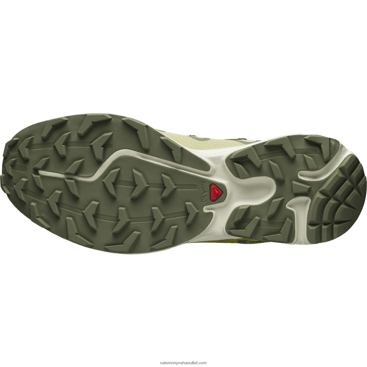 Salomon hrdlička/šedá zelená/sytě lišejník zelená pánské sportovní boty - xt-rush utility 28B6123