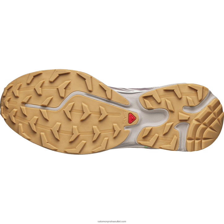 Salomon křepelka/švestkové kotě/vanilkový led pánské sportovní boty - xt-6 28B680