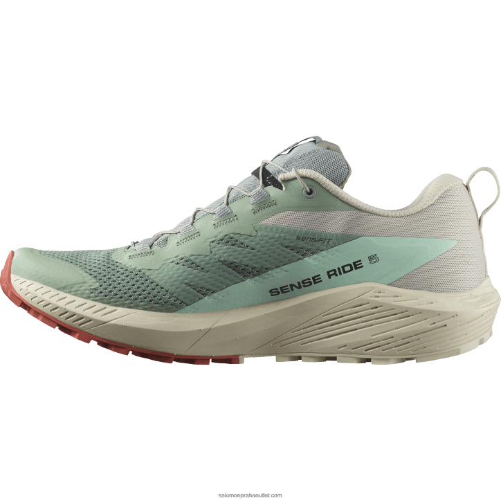 Salomon liliový polštář/deštivý den/bělené akva pánské trailové běžecké boty - sense ride 5 28B61433