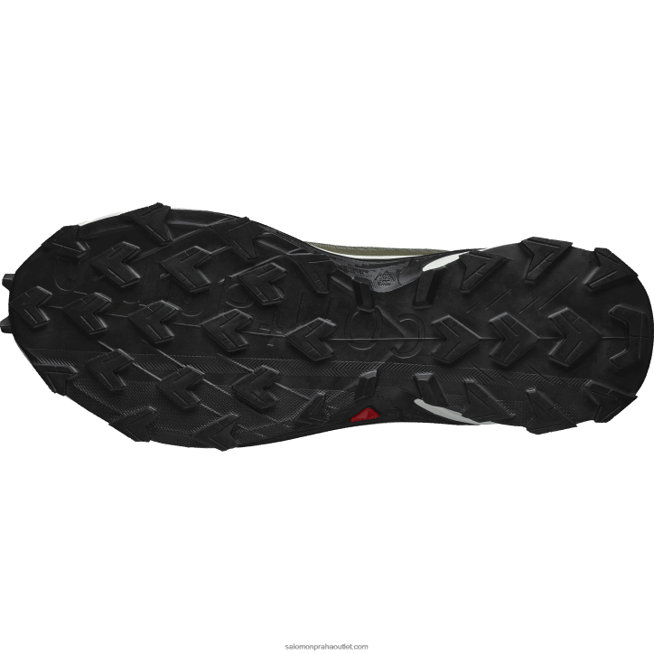 Salomon sytě lišejníkově zelená/vanilkový led/olivová noc pánské trailové běžecké boty - alphacross 4 gore-tex 28B61476