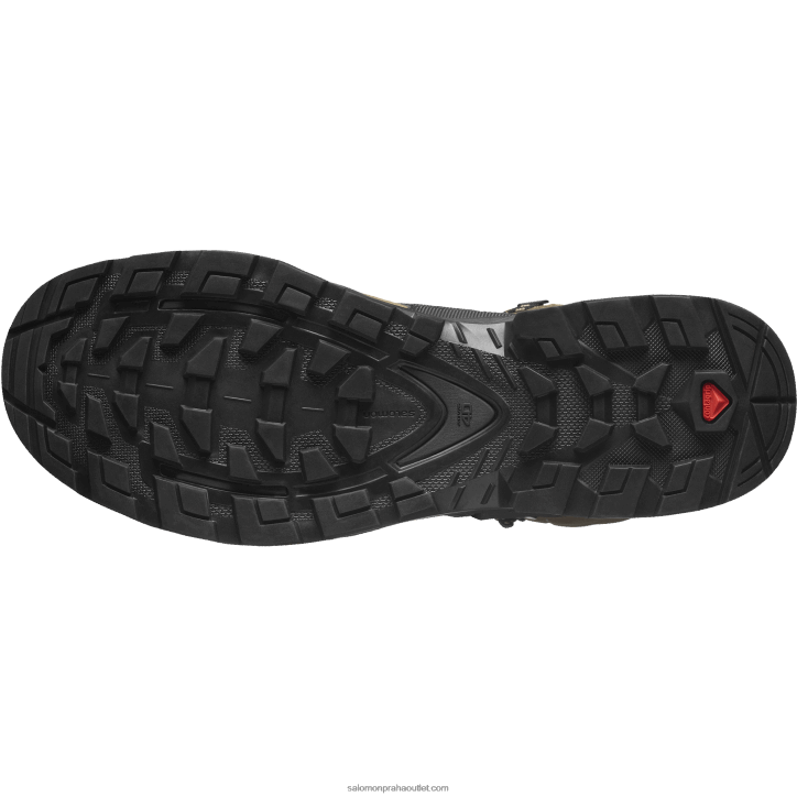 Salomon pouštní palma/černá/řasa pánské kožené turistické boty - quest 4 goretex 28B66