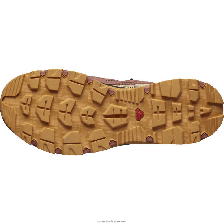 Salomon cedrové dřevo/jelenina/růžový oblak dámské boty do vody - techamphibian 5 28B6789