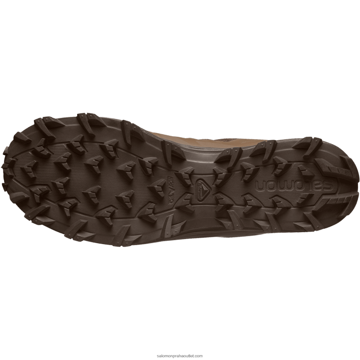 Salomon země hnědá dámské boty - speed assault 2 28B6800